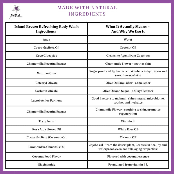 Natural Vegan Body Wash (Rose or Coconut) Gentle & Hydrating for All Skin Types