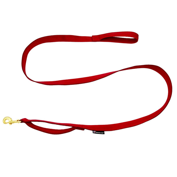 Leashes Seatbelt