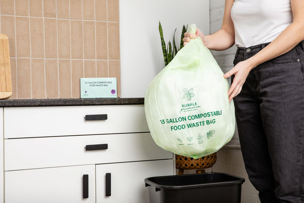 The Complete Eco Friendly Kitchen Bundle
