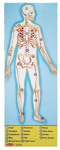 Melissa and doug human anatomy online